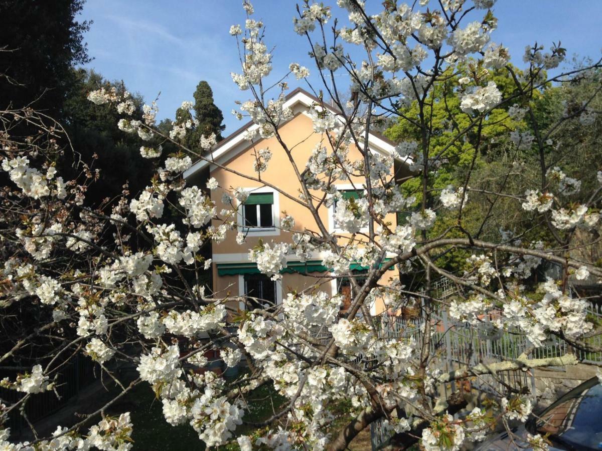 La Rosa Segreta 3* Cenova